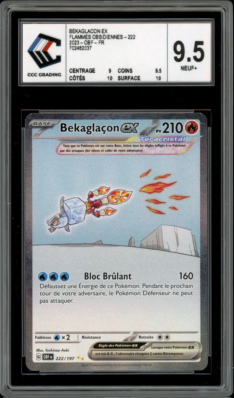 CCC 9.5 Bekaglaçon Ex