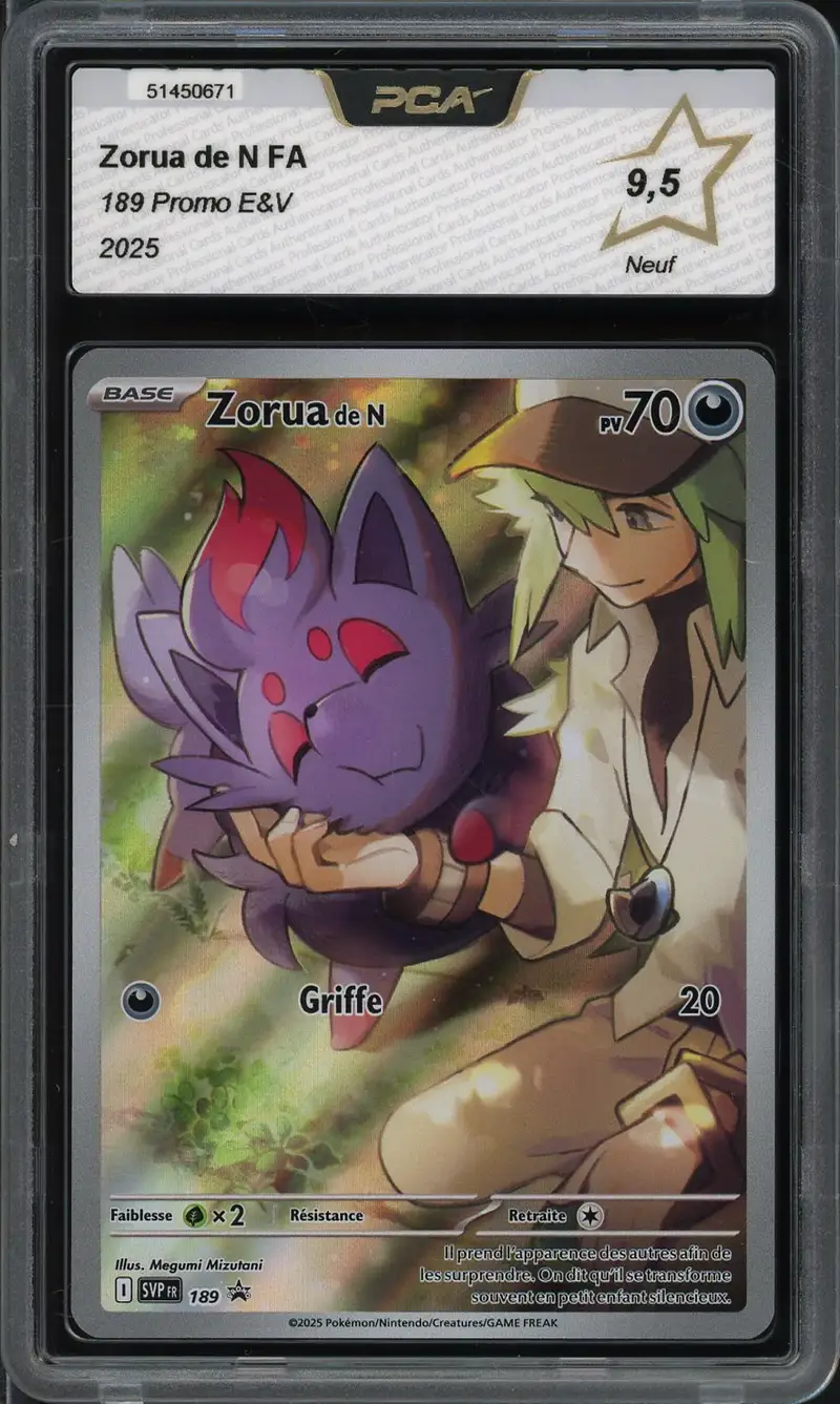 PCA 9.5 Zorua de N