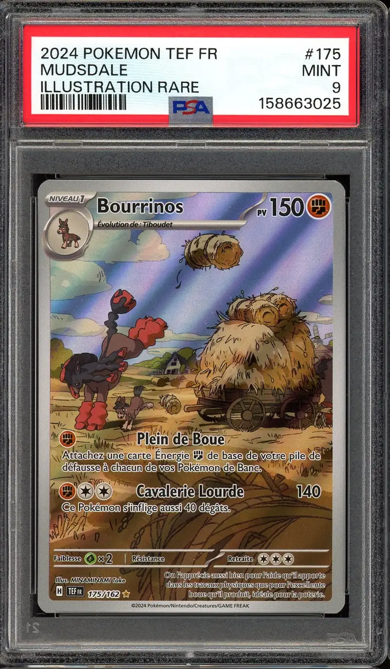 PSA 9 Bourrinos