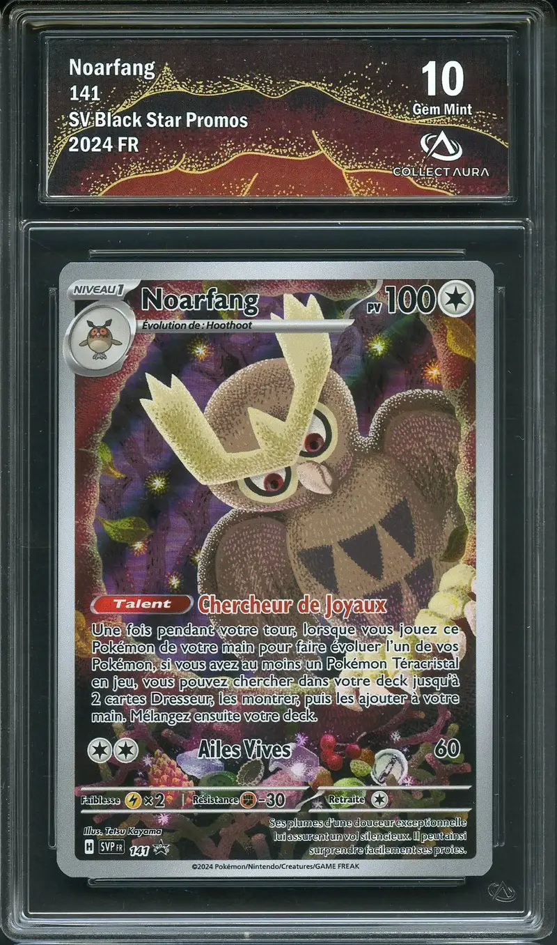CA 10 Noarfang