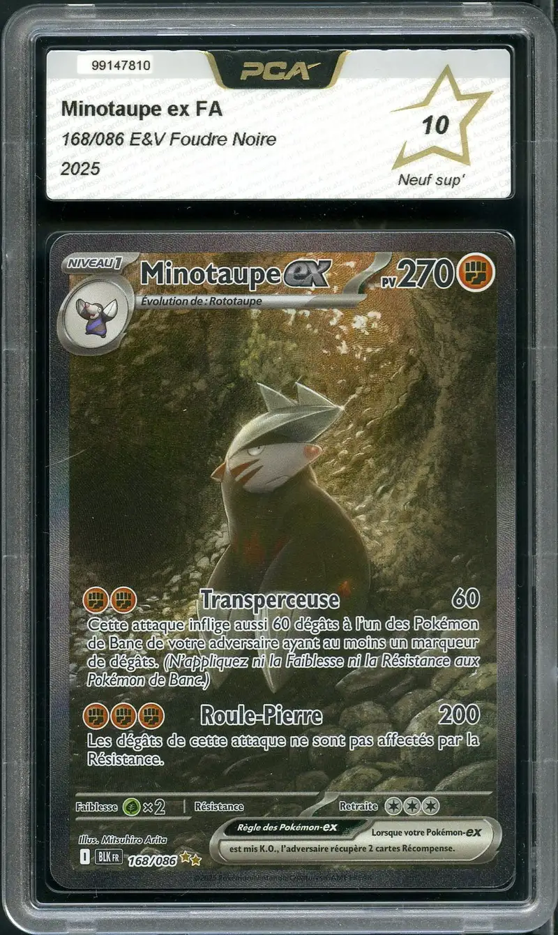 PCA 10 Minotaupe Ex