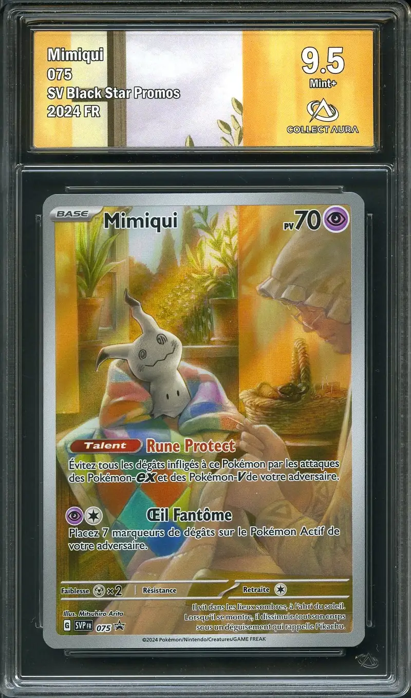 CA 9.5 Mimiqui