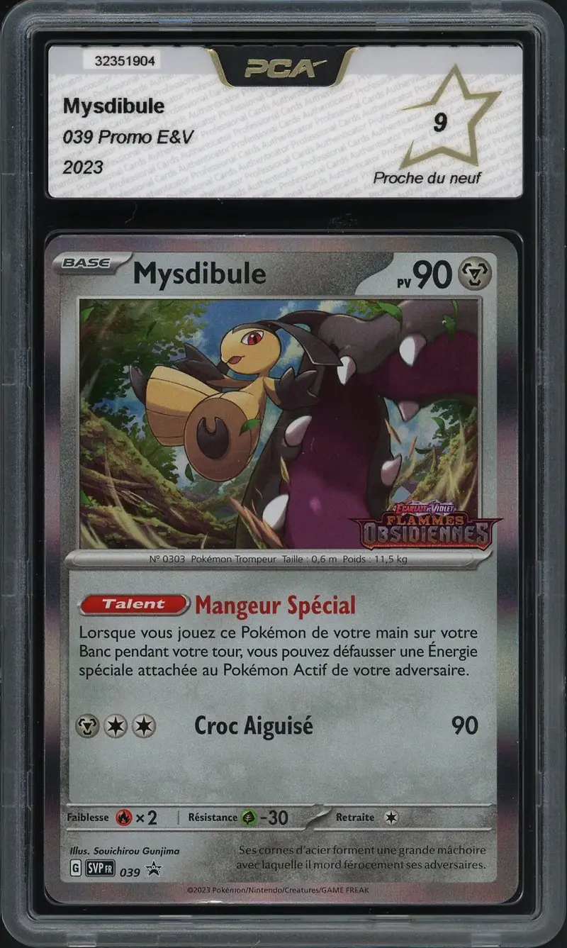 PCA 9 Mysdibule
