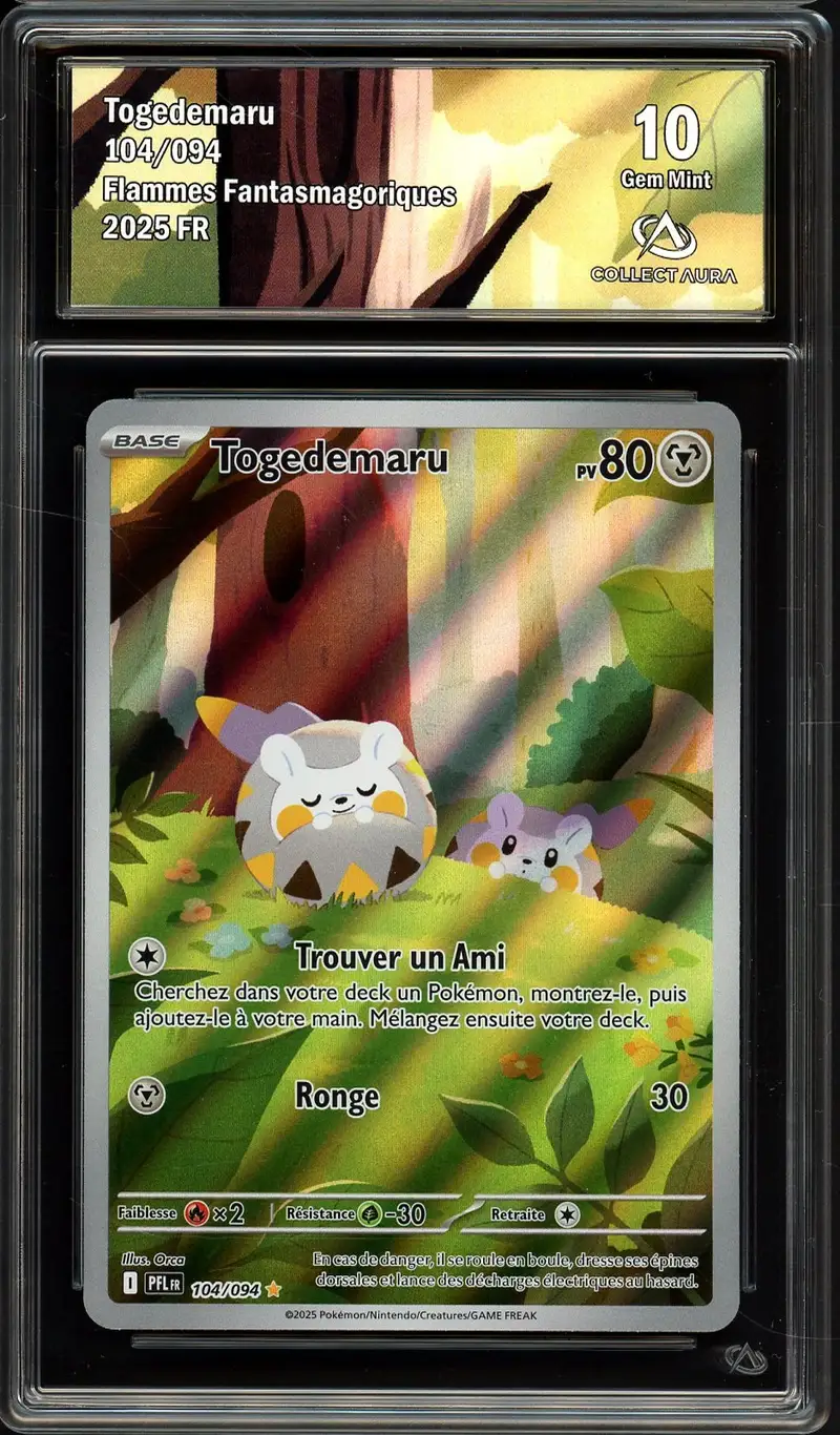 CA 10 Togedemaru