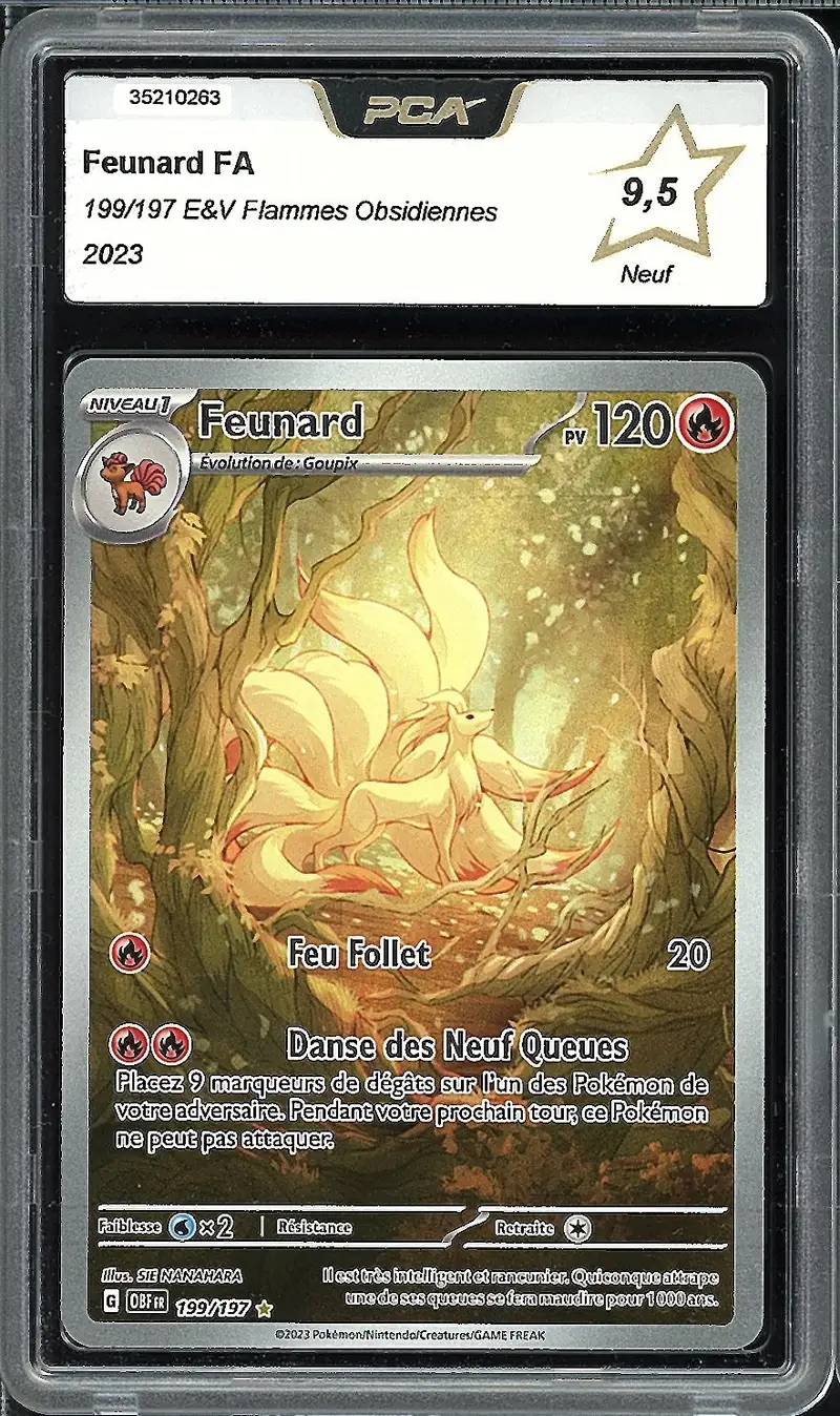 PCA 9.5 Feunard