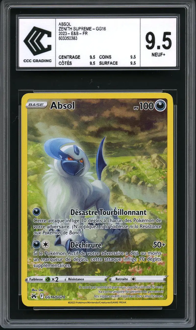 CCC 9.5 Absol