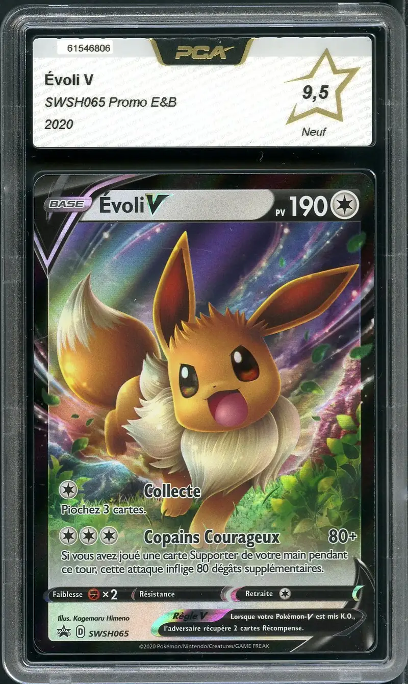 PCA 9.5 Evoli V