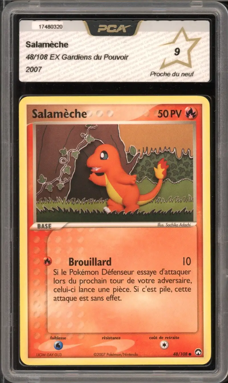 PCA 9 Salamèche
