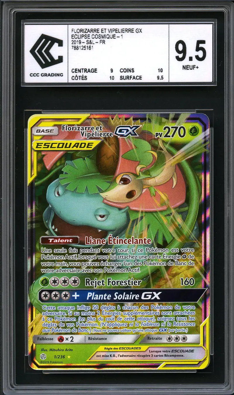 CCC 9.5 Florizarre & Vipélierre Gx