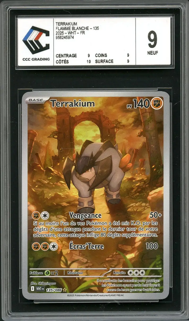 CCC 9 Terrakium