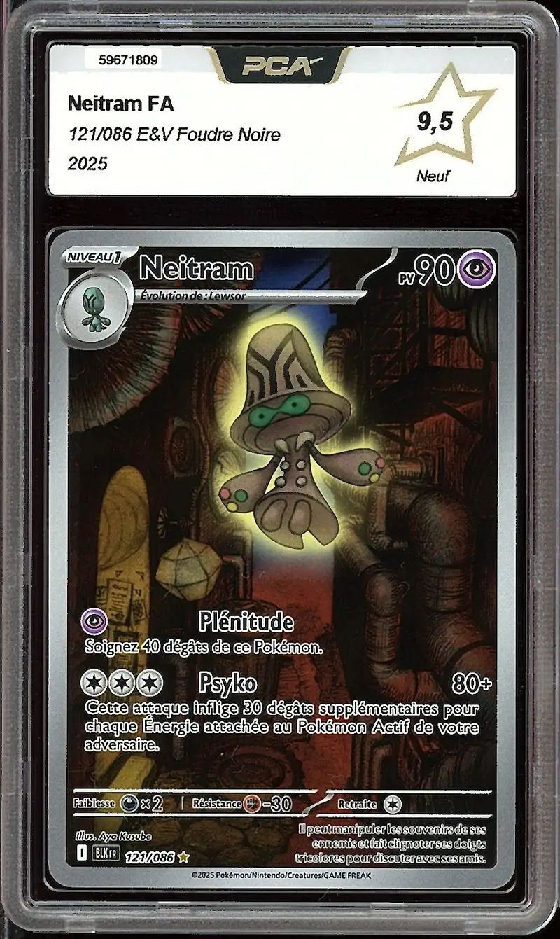 PCA 9.5 Neitram
