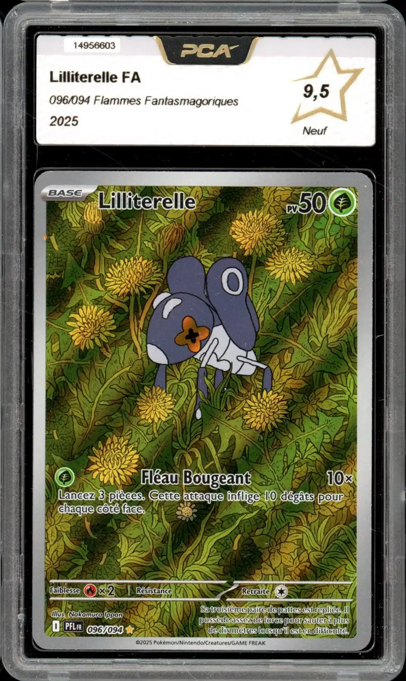 PCA 9.5 Lilliterelle