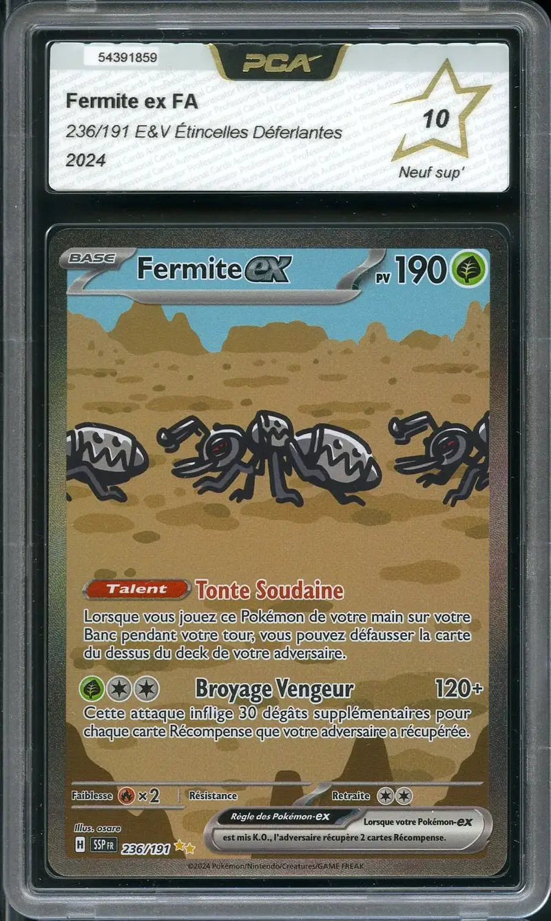 PCA 10 Fermite Ex