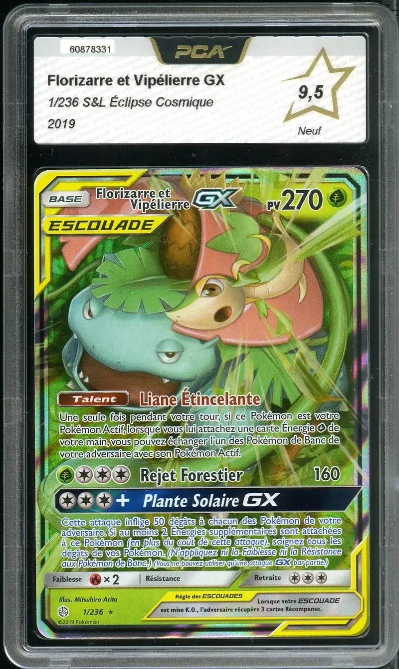 PCA 9.5 Florizarre et Vipélierre Gx