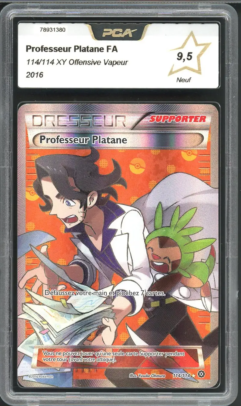 PCA 9.5 Professeur Platane
