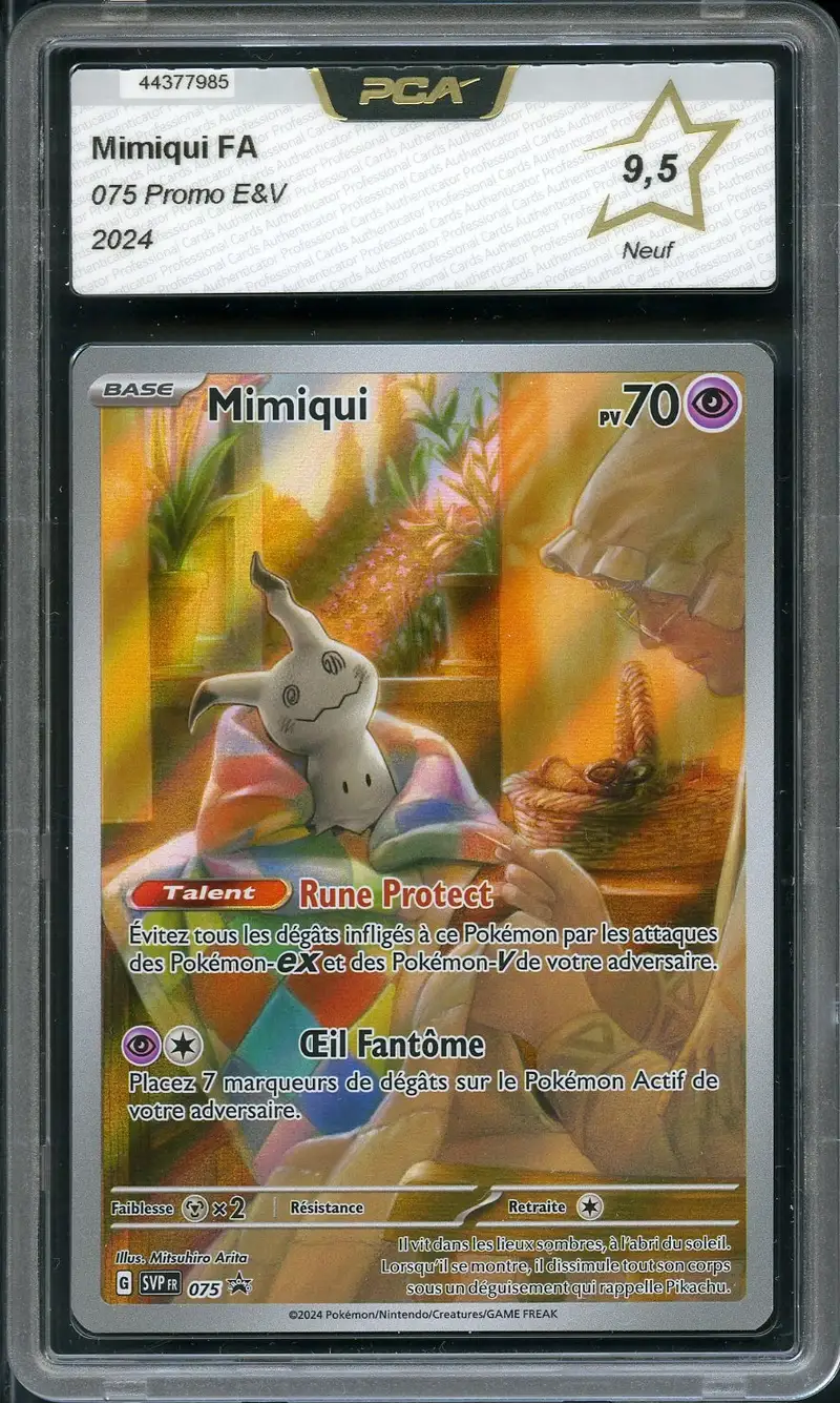 PCA 9.5 Mimiqui