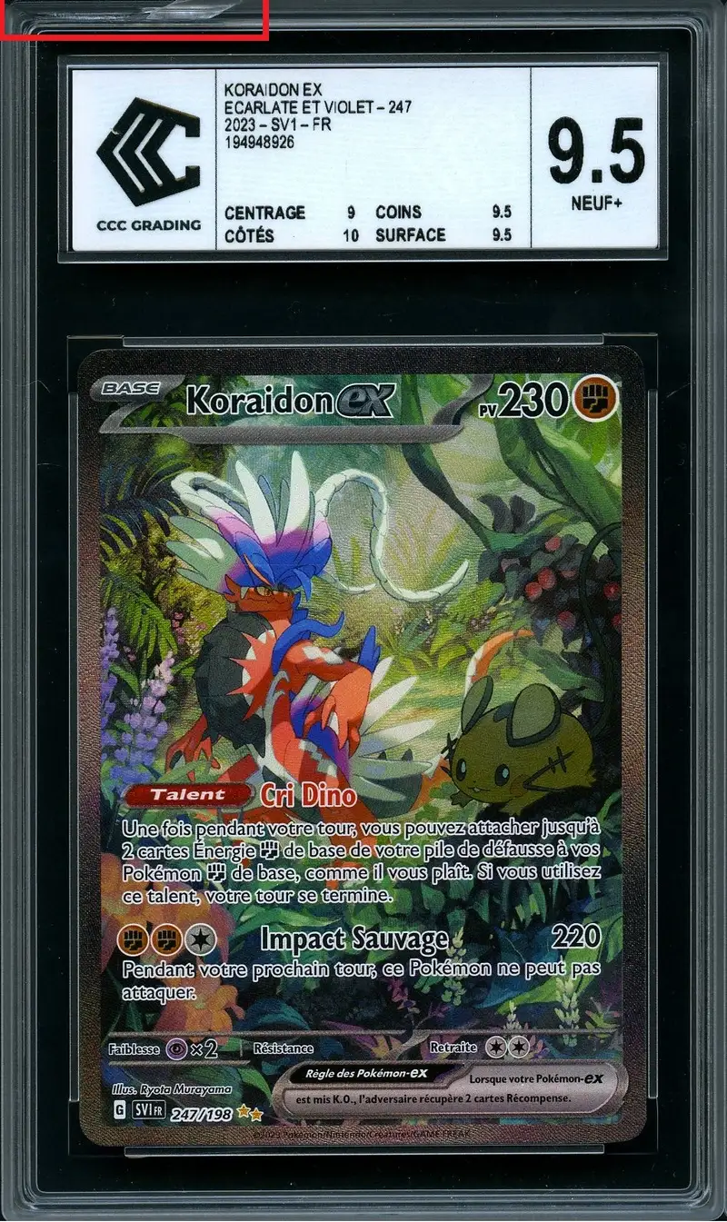 CCC 9.5 Koraidon Ex
