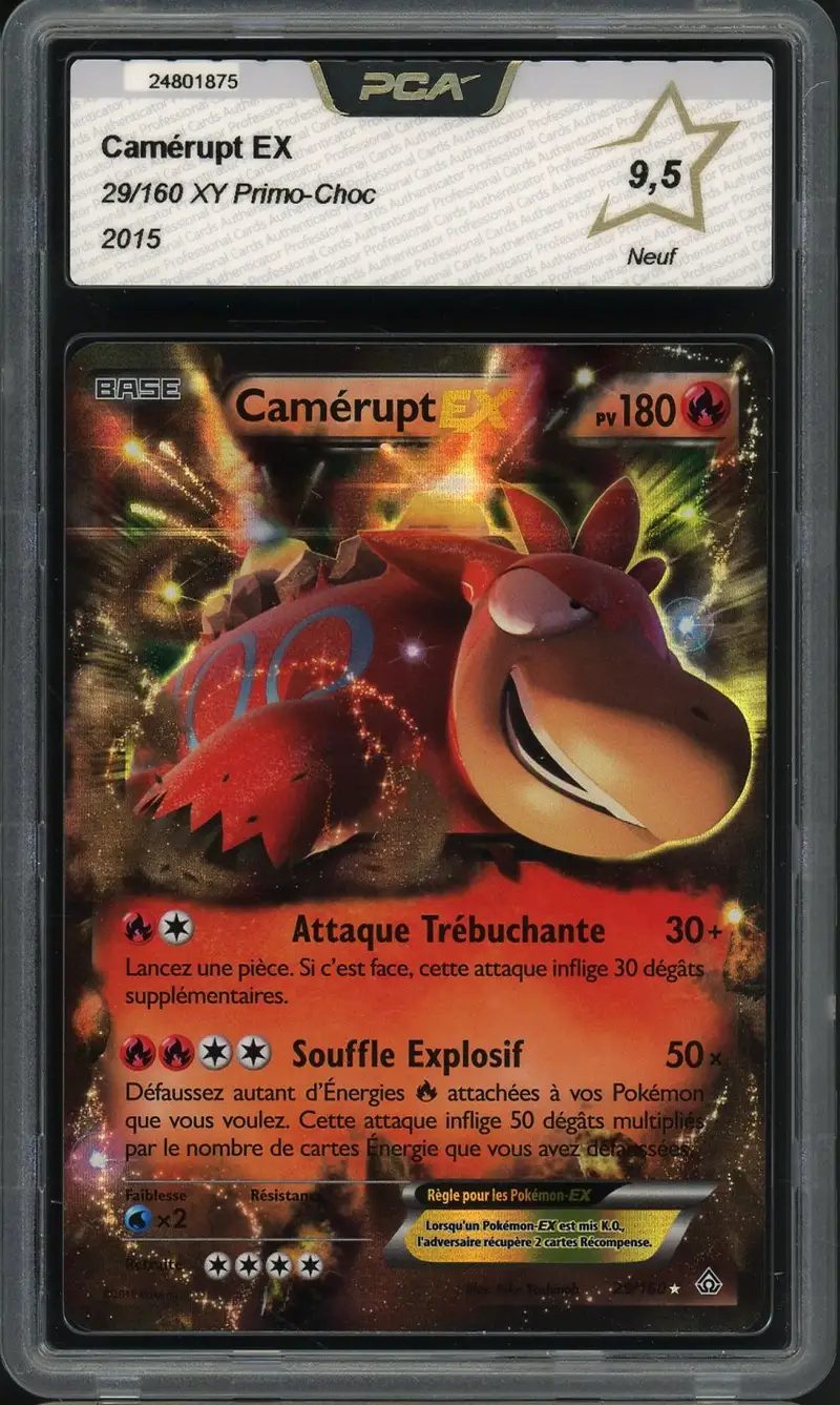 PCA 9.5 Camérupt Ex