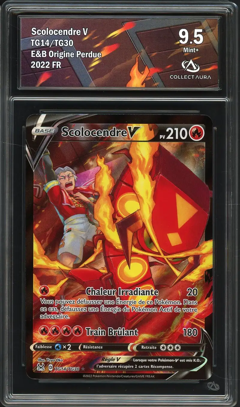 CA 9.5 Scolocendre V