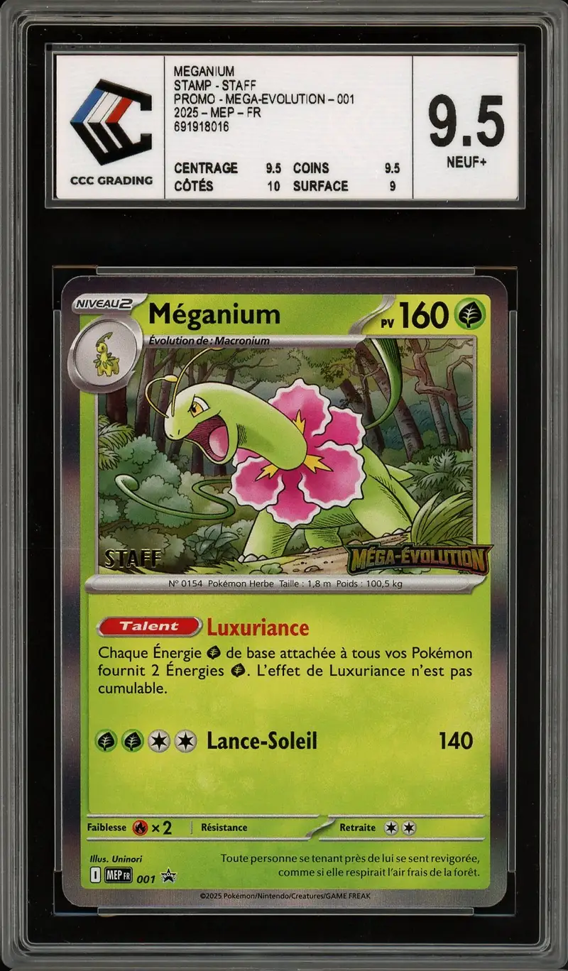 CCC 9.5 Méganium Holo Prerelease Staff