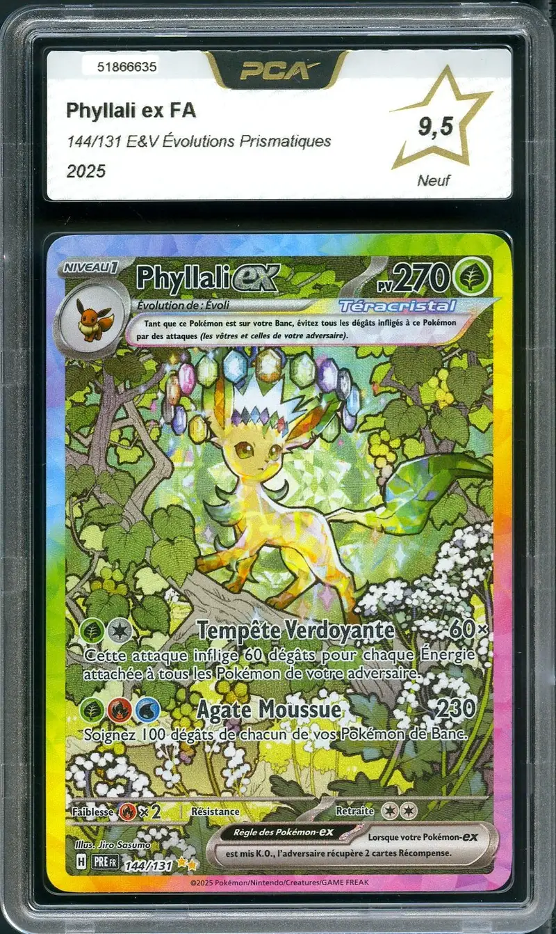 PCA 9.5 Phyllali Ex