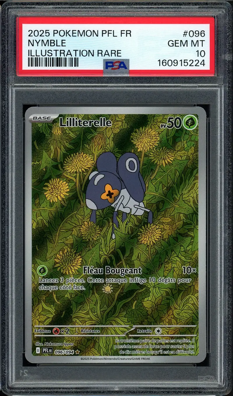 PSA 10 Lilliterelle
