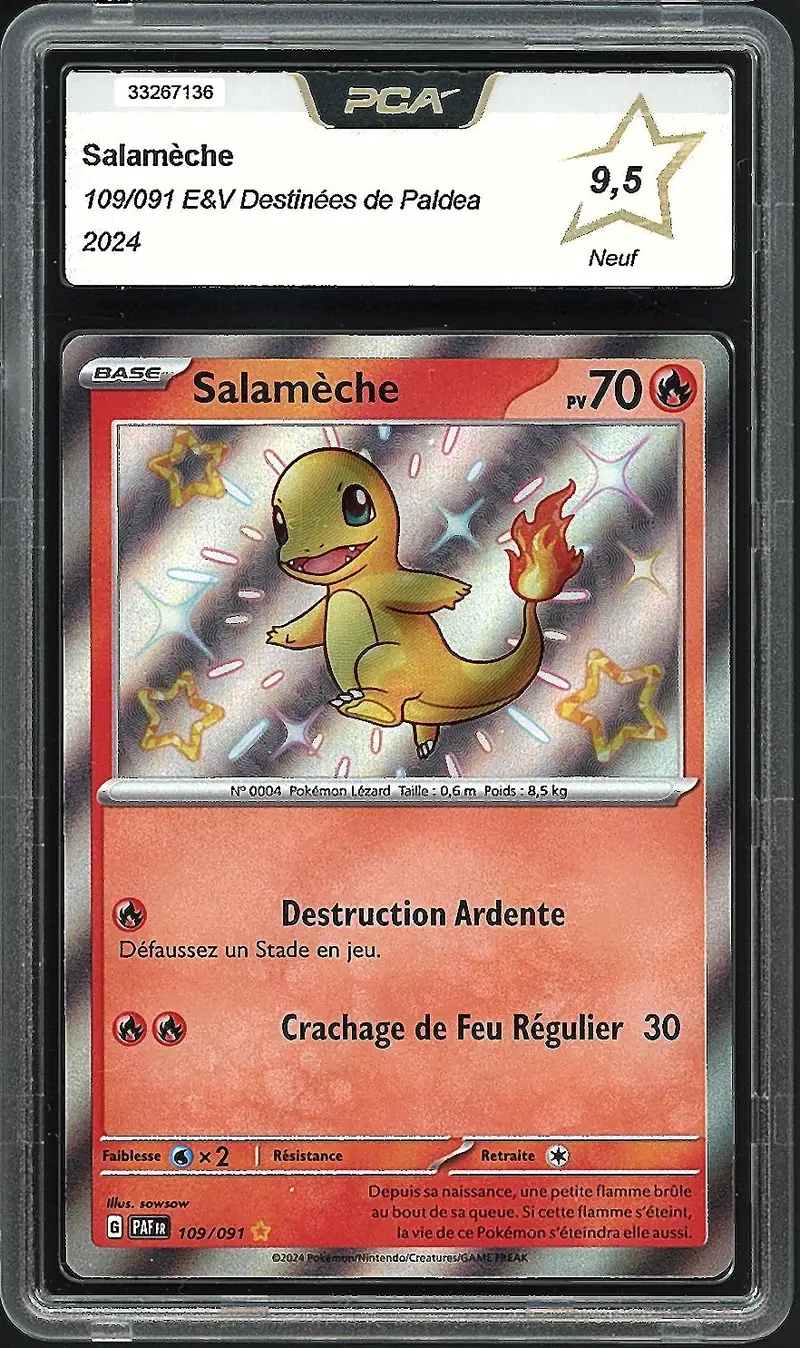 PCA 9.5 Salamèche Shiny