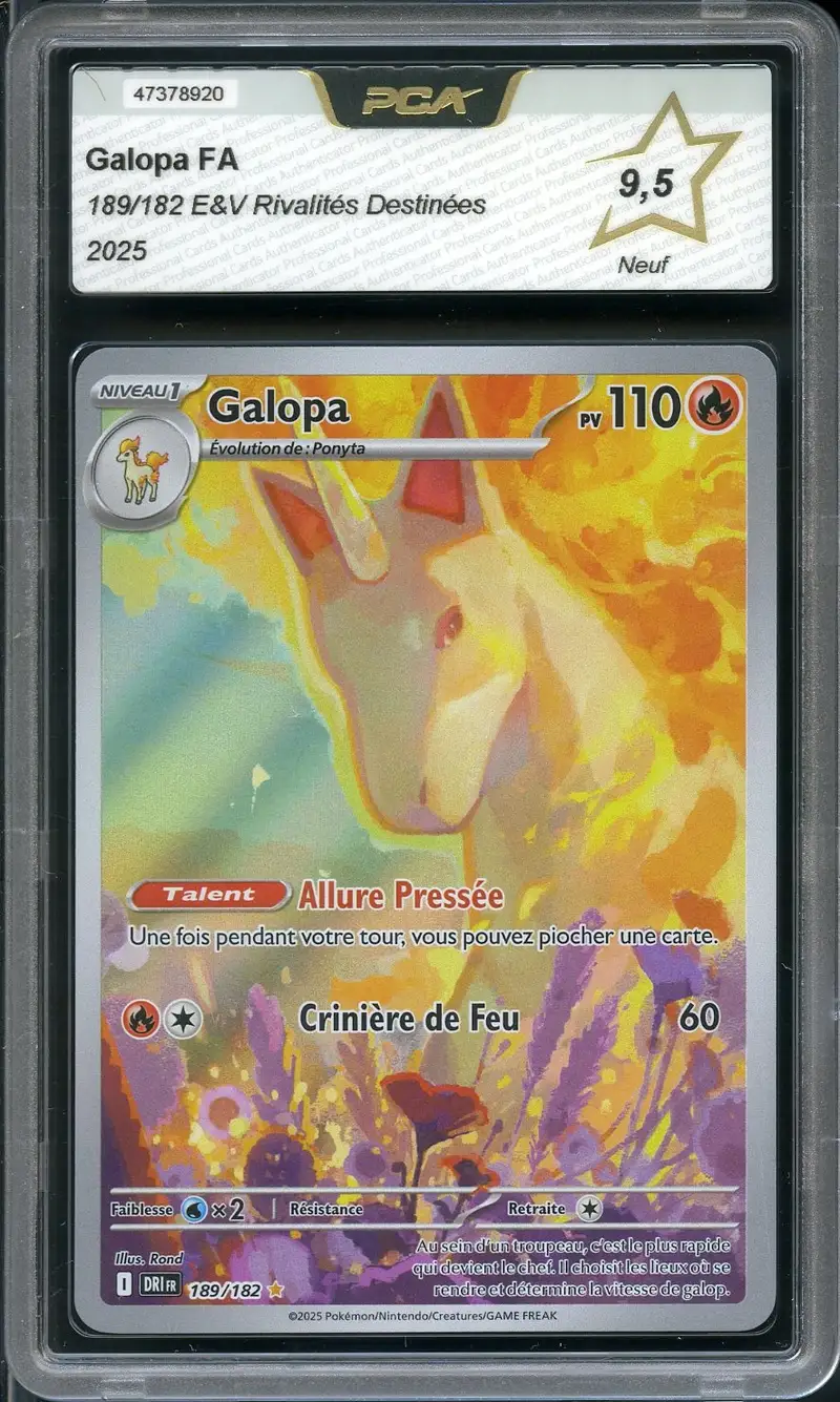 PCA 9.5 Galopa