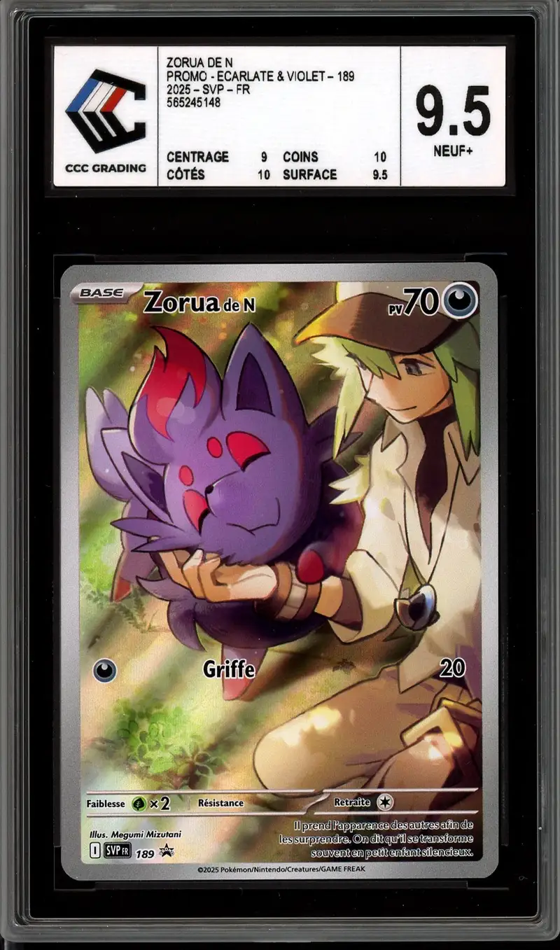 CCC 9.5 Zorua de N