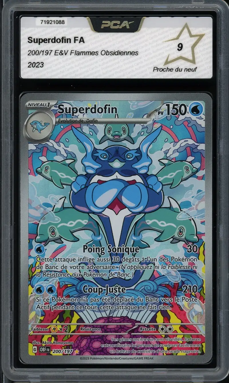 PCA 9 Superdofin