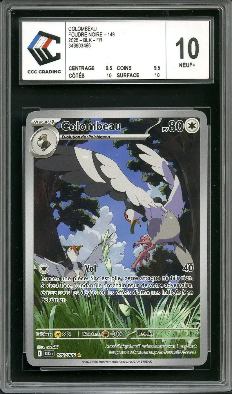 CCC 10 Colombeau