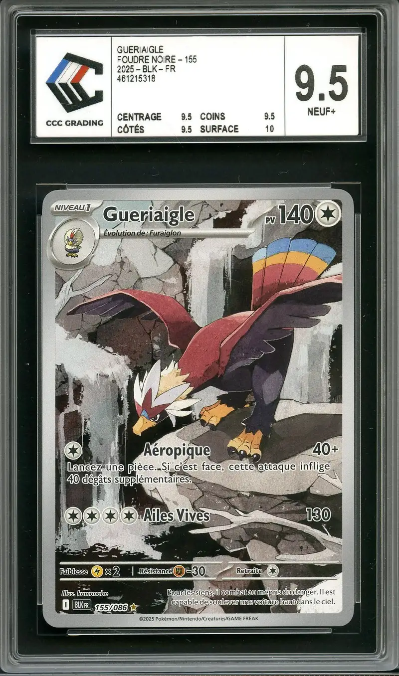 CCC 9.5 Gueriaigle