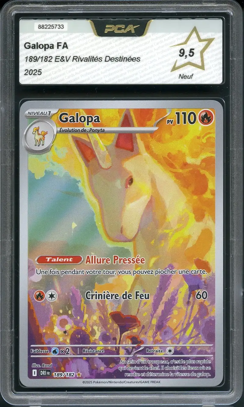 PCA 9.5 Galopa