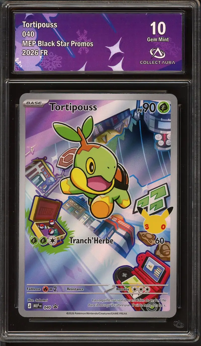 CA 10 Tortipouss