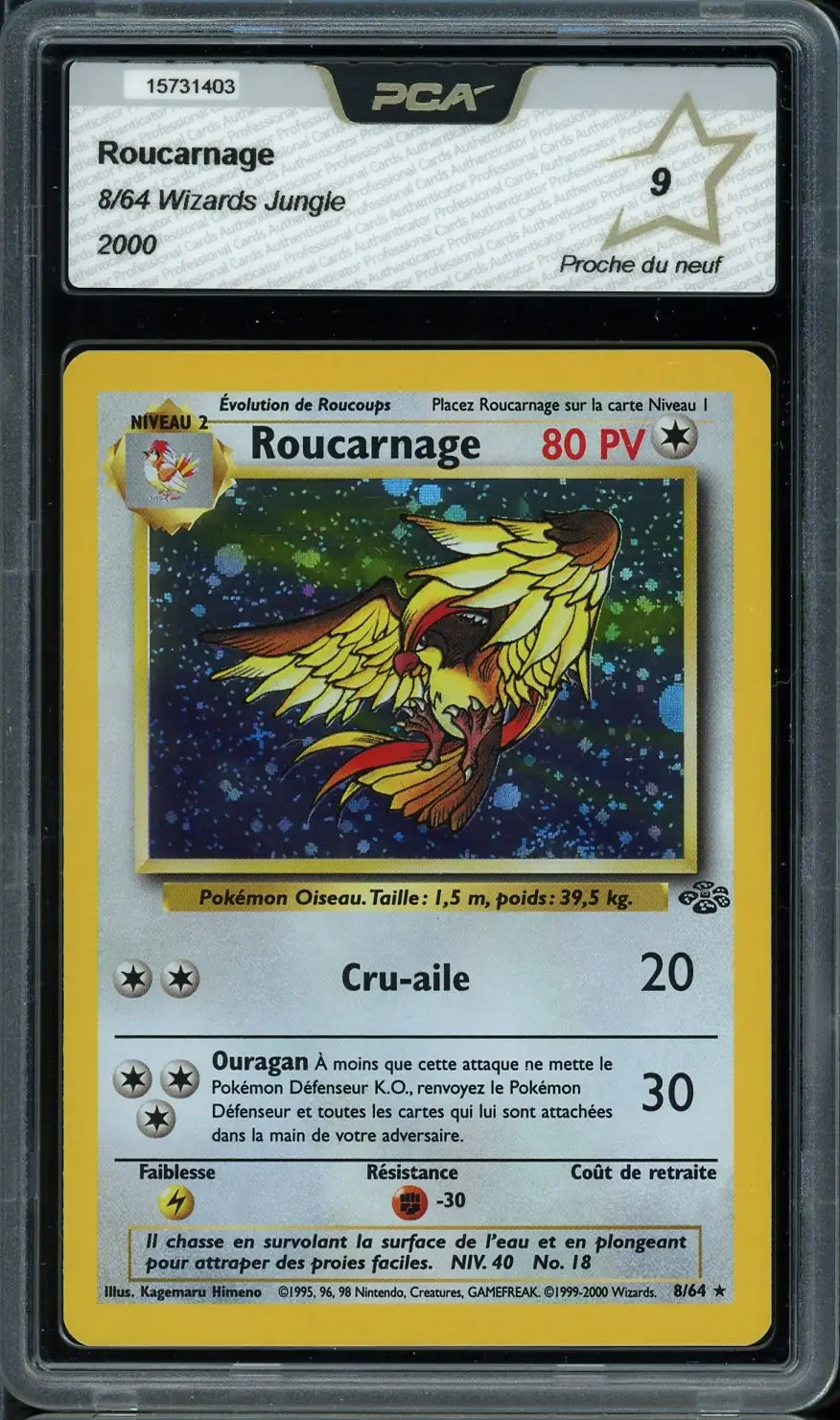 PCA 9 Roucarnage Holo
