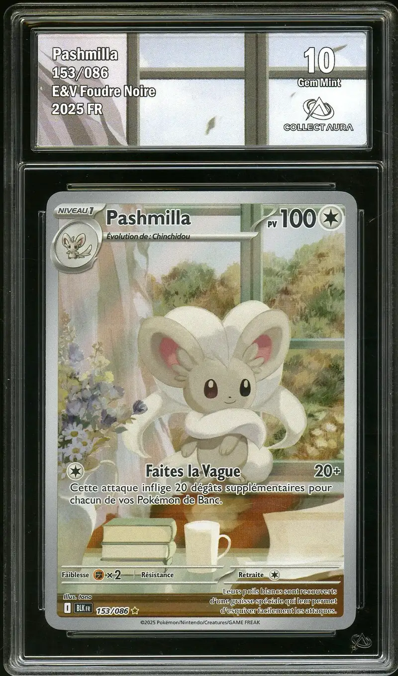 CA 10 Pashmilla