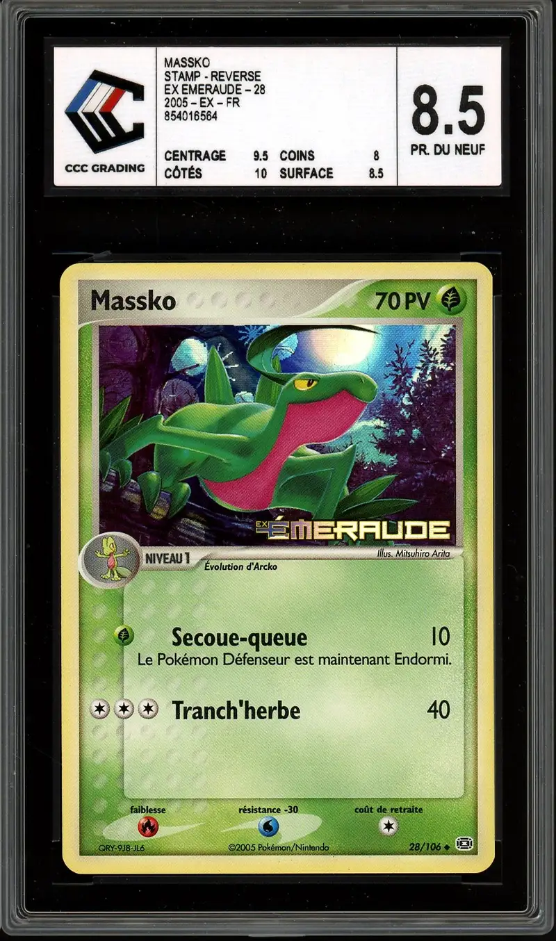 CCC 8.5 Massko Reverse