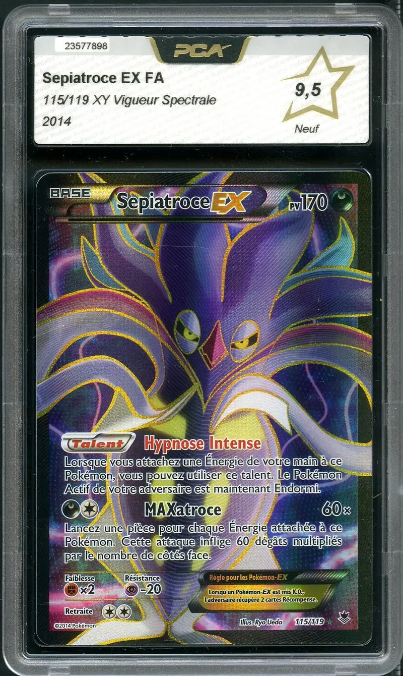 PCA 9.5 Sépiatroce Ex