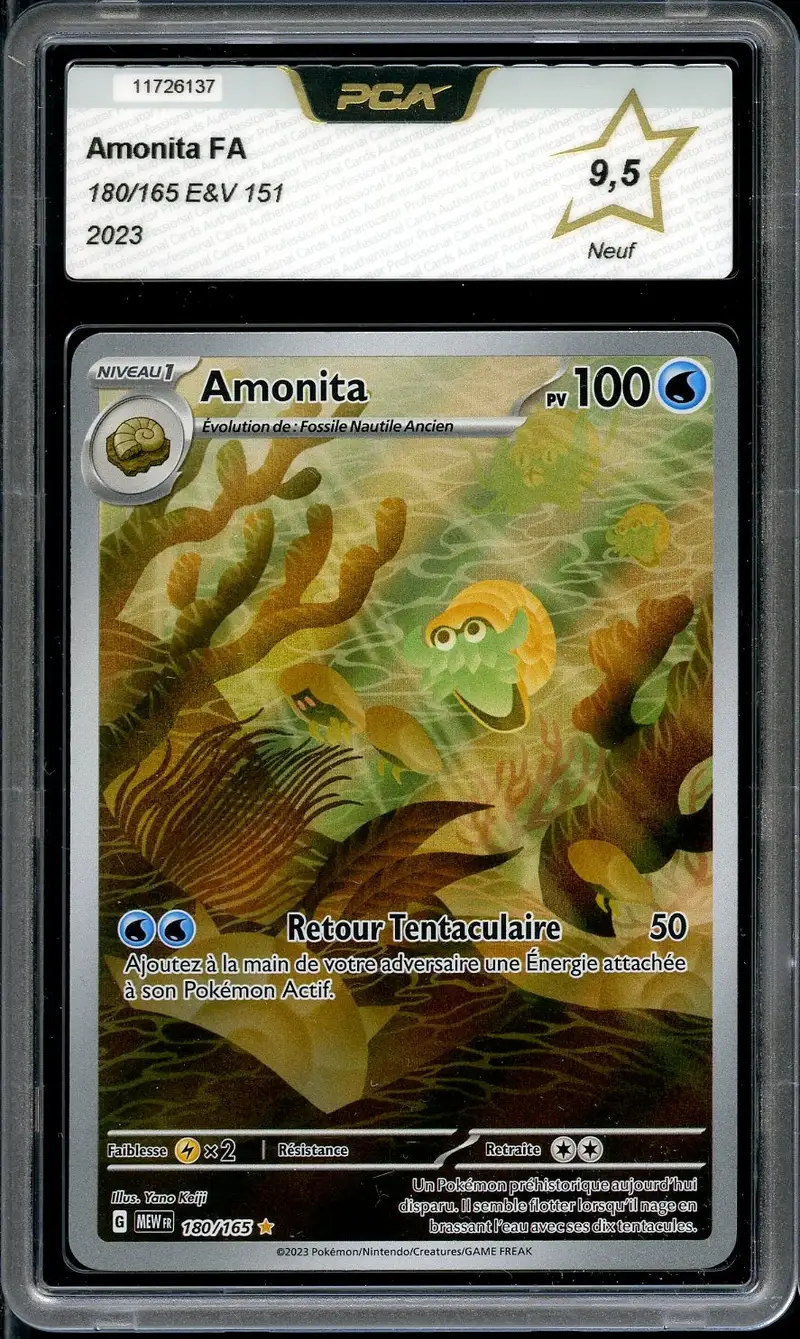 PCA 9.5 Amonita