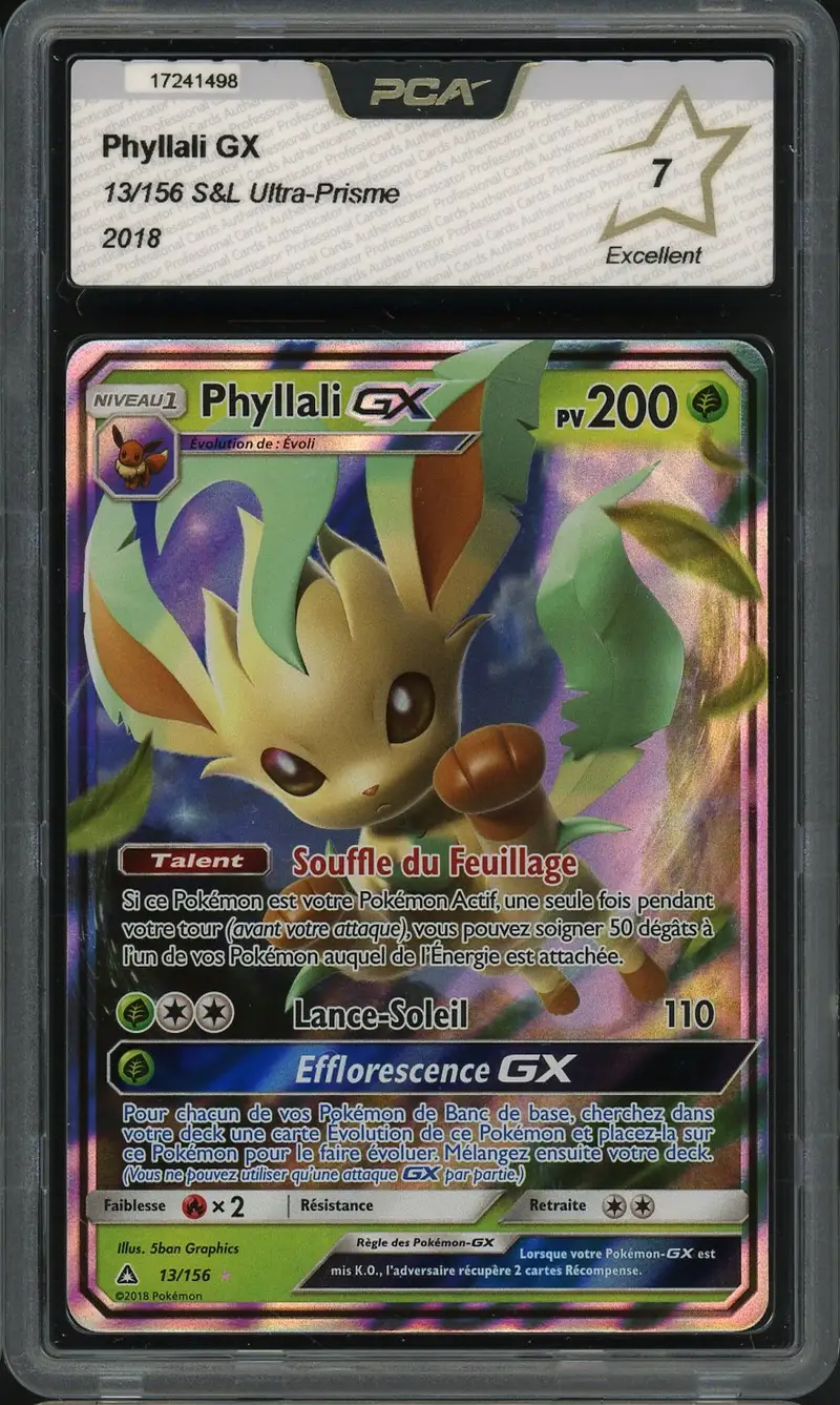 PCA 7 Phyllali Gx