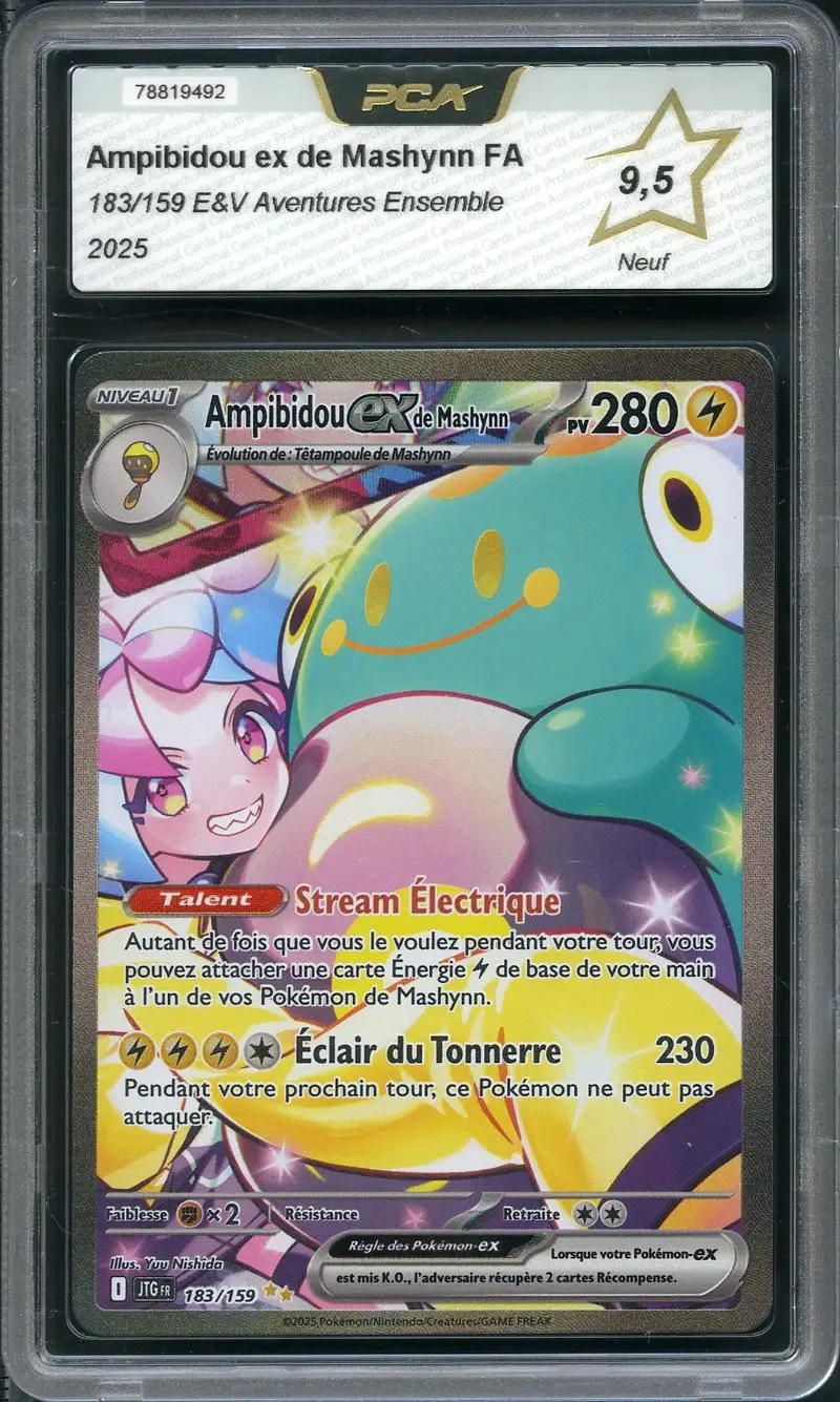 PCA 9.5 Ampibidou Ex de Mashynn