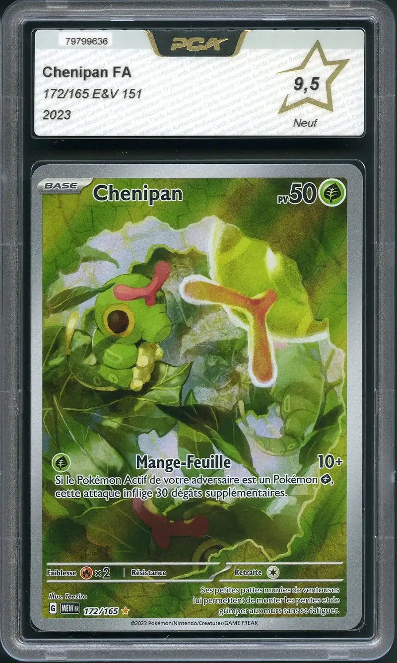 PCA 9.5 Chenipan