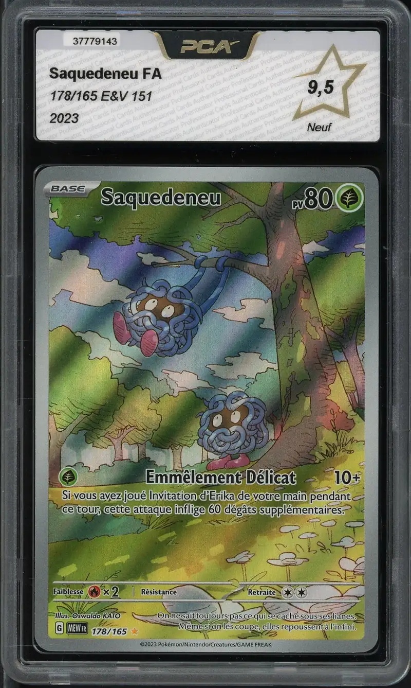 PCA 9.5 Saquedeneu