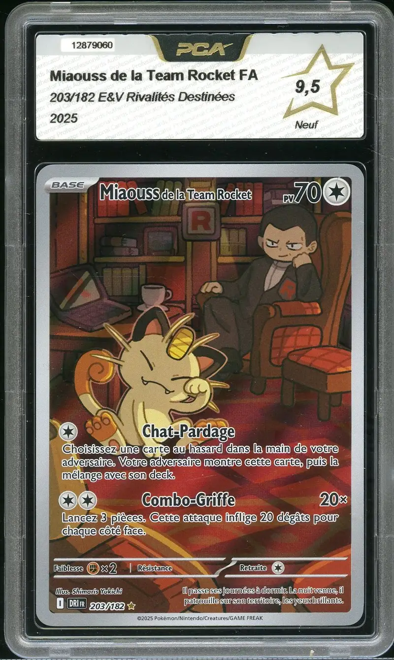 PCA 9.5 Miaouss de la Team Rocket