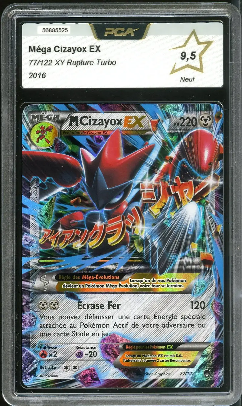 PCA 9.5 Méga Cizayox Ex