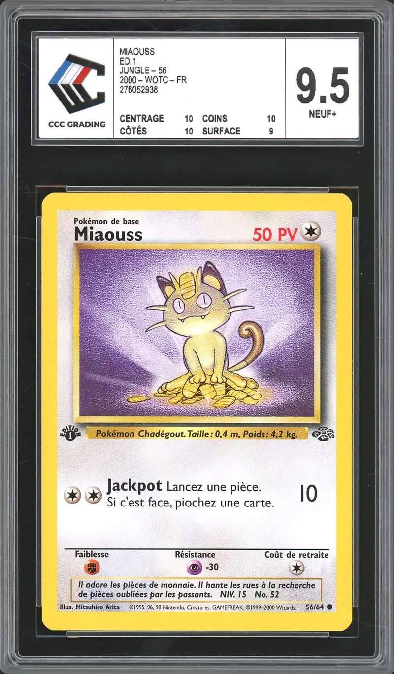 CCC 9.5 Miaouss