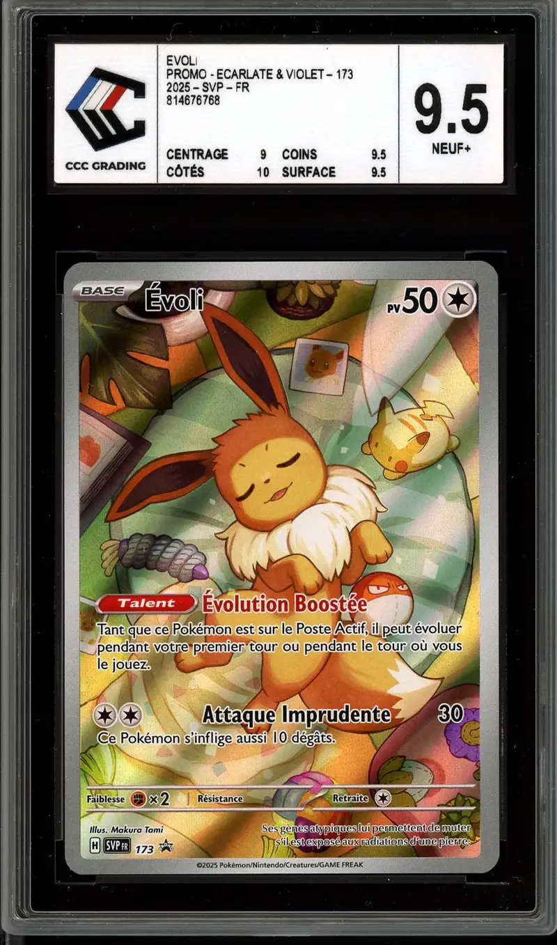 CCC 9.5 Evoli