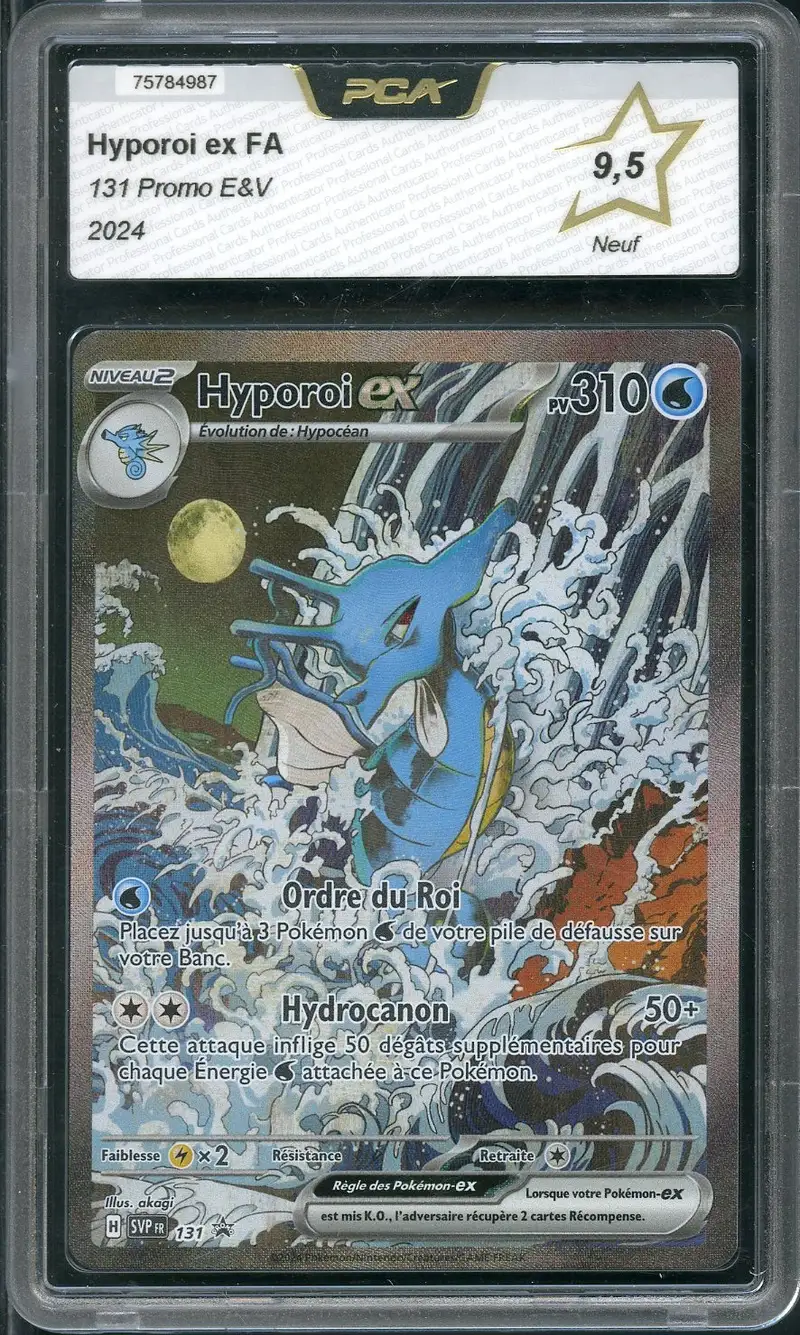 PCA 9.5 Hyporoi Ex