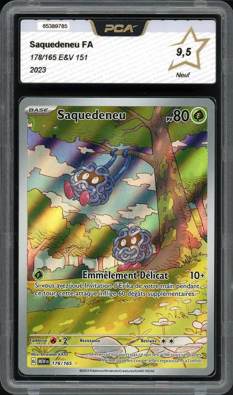PCA 9.5 Saquedeneu