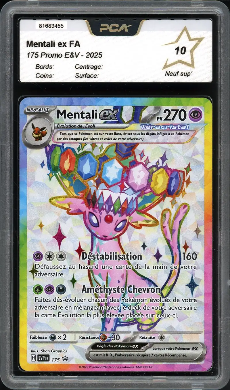 PCA 10 Mentali Ex